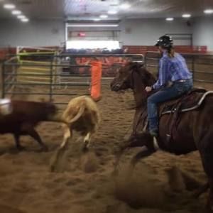 Meet your Posher, Paige